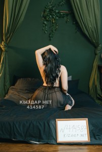 Проститутка Астаны Анкета №414587 Фотография №3885213
